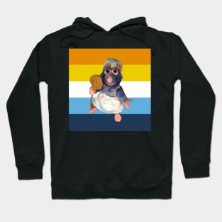 ratatouille aroace rights Hoodie